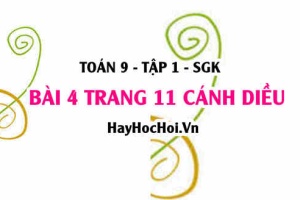 Bài 4 trang 11 Toán 9 tập 1 Cánh Diều